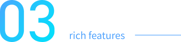 03 rich features